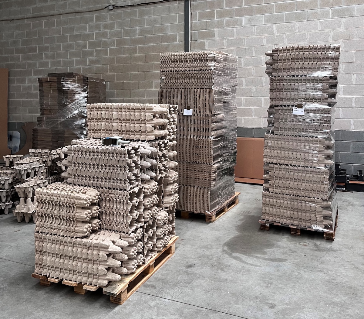 Palet con embalajes en pulpa moldeada de papel